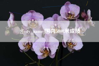 曹县国内5000米成绩