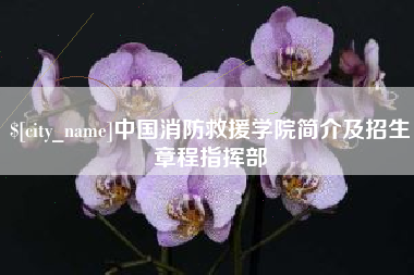 曹县中国消防救援学院简介及招生章程指挥部