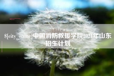 曹县中国消防救援学院2021年山东招生计划