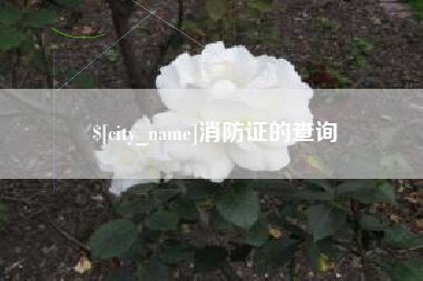 曹县消防证的查询