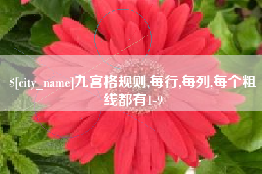 曹县九宫格规则,每行,每列,每个粗线都有1-9