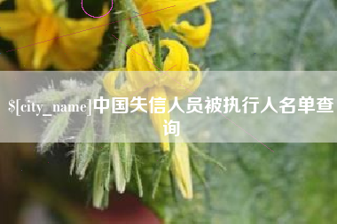 曹县中国失信人员被执行人名单查询
