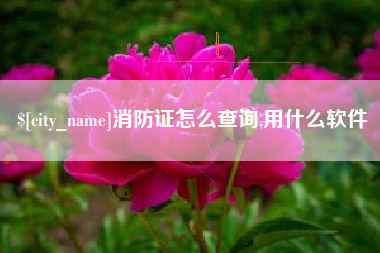 曹县消防证怎么查询,用什么软件