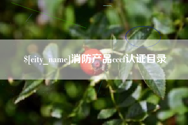 曹县消防产品cccf认证目录
