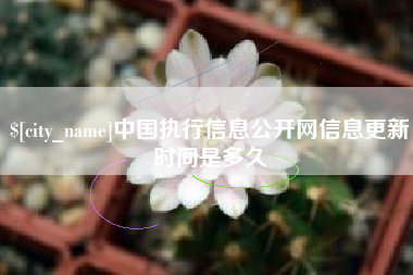 曹县中国执行信息公开网信息更新时间是多久