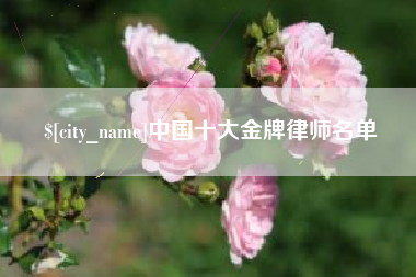 曹县中国十大金牌律师名单