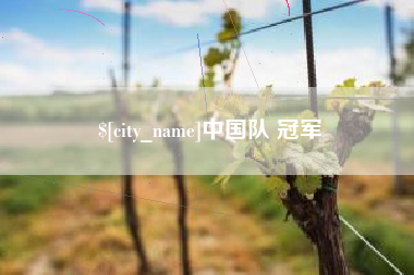 曹县中国队 冠军