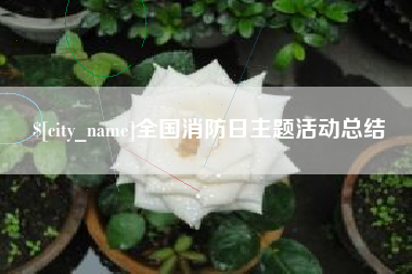 曹县全国消防日主题活动总结