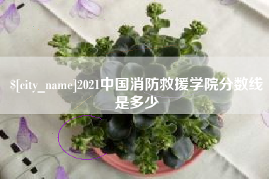 曹县2021中国消防救援学院分数线是多少