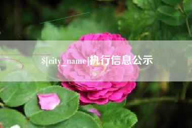 曹县执行信息公示