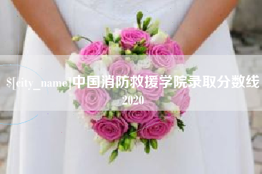 曹县中国消防救援学院录取分数线2020
