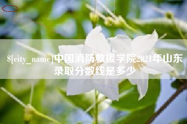 曹县中国消防救援学院2021年山东录取分数线是多少