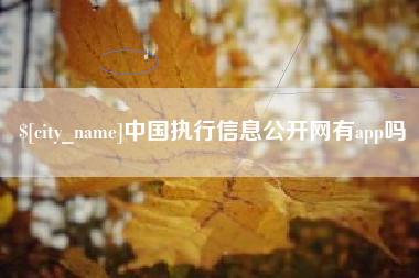 曹县中国执行信息公开网有app吗