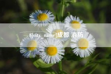 曹县成都 消防