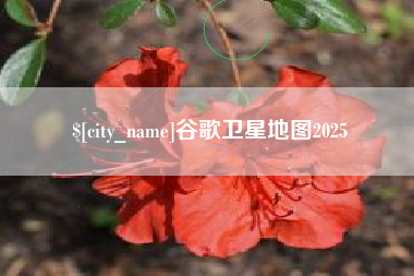 曹县谷歌卫星地图2025