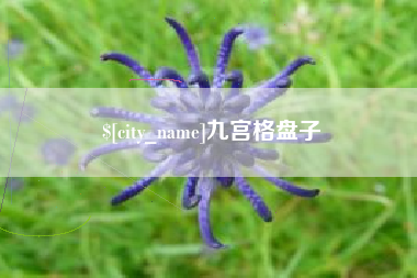 曹县九宫格盘子