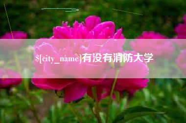 曹县有没有消防大学