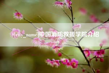 曹县中国消防救援学院介绍