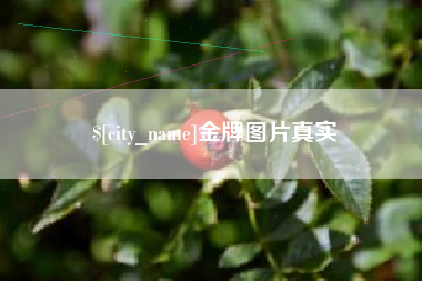 曹县金牌图片真实