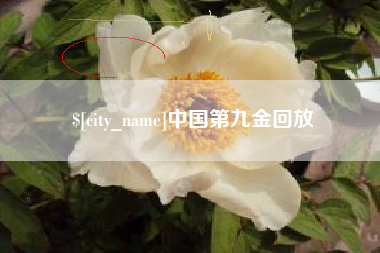 曹县中国第九金回放