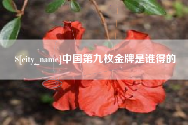 曹县中国第九枚金牌是谁得的