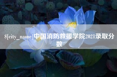 曹县中国消防救援学院2021录取分数