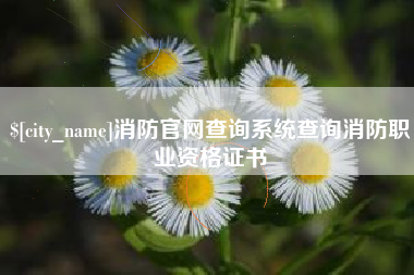 曹县消防官网查询系统查询消防职业资格证书