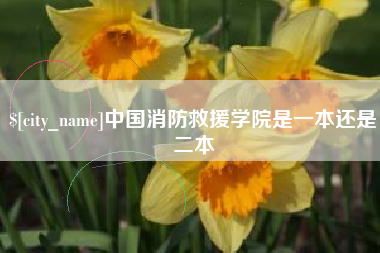 曹县中国消防救援学院是一本还是二本