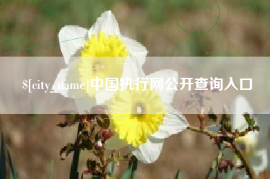 曹县中国执行网公开查询入口