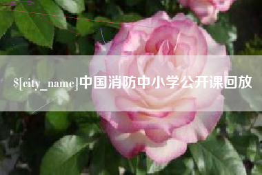 曹县中国消防中小学公开课回放