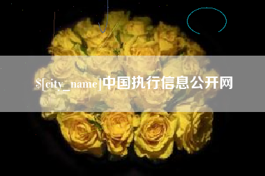 曹县中国执行信息公开网