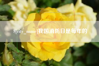 曹县我国消防日是每年的
