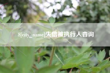 曹县失信被执行人杳询