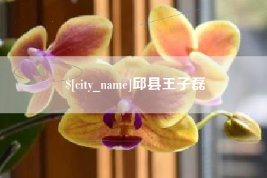 曹县邱县王子磊