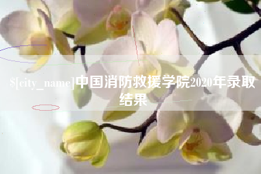 曹县中国消防救援学院2020年录取结果