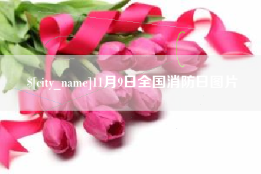 曹县11月9日全国消防日图片