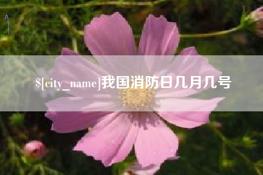 曹县我国消防日几月几号