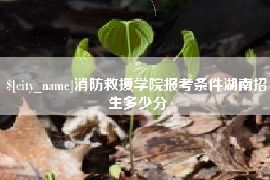 曹县消防救援学院报考条件湖南招生多少分