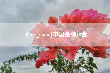 曹县中国金牌18金