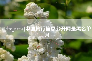 曹县中国执行信息公开网是黑名单吗