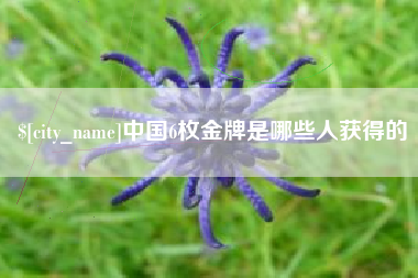 曹县中国6枚金牌是哪些人获得的