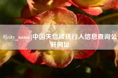 曹县中国失信被执行人信息查询公开网址