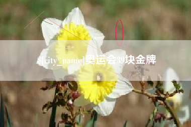 曹县奥运会39块金牌