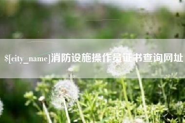 曹县消防设施操作员证书查询网址