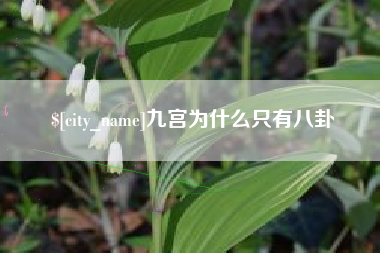 曹县九宫为什么只有八卦