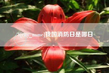 曹县我国消防日是哪日
