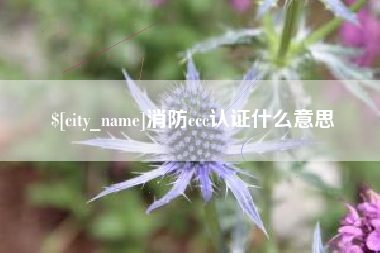 曹县消防ccc认证什么意思