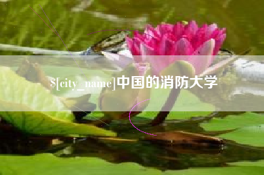 曹县中国的消防大学