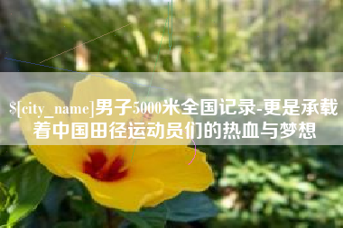 曹县男子5000米全国记录-更是承载着中国田径运动员们的热血与梦想
