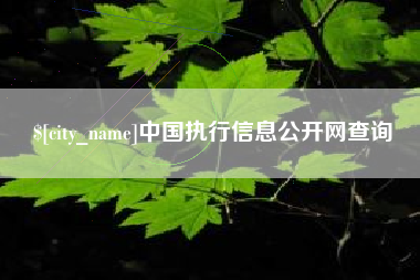 曹县中国执行信息公开网查询